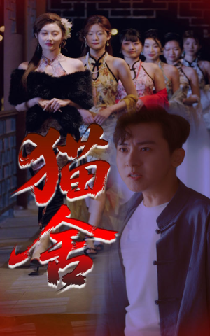 猫舍（34集）这部短剧太好看