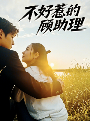 不好惹的顾助理（67集）在哪里可以全集