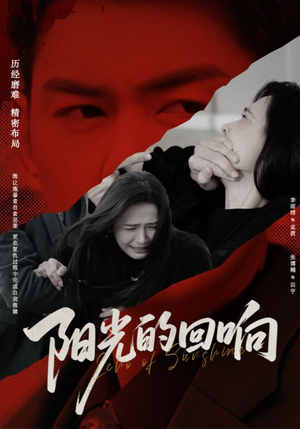 阳光的回响（50集）红果免费看短剧
