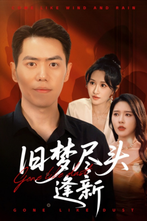 旧梦尽头逢新（46集）热播短剧分享