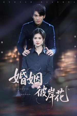 婚姻彼岸花（63集）夸克网盘在线看