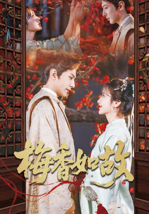 梅香如故（60集）观看软件