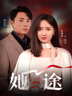 她途（48集）上热门短剧