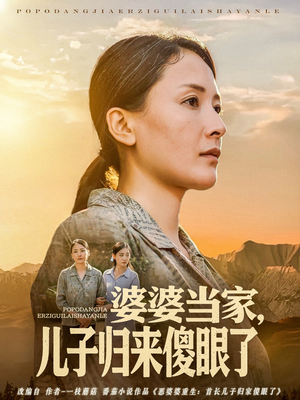 婆婆当家儿子归来傻眼了（80集）分享好看的短剧