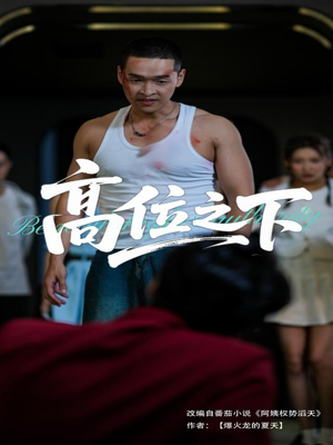 高位之下（65集）短剧热播推荐
