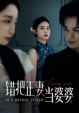 错把正妻当婆婆（46集）精彩连连免费看