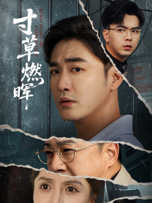 寸草燃晖（70集）全集完整版