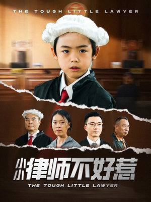 小小律师不好惹（82集）热门短剧大全