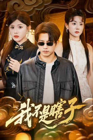 我不是瞎子（68集）全剧免费观看