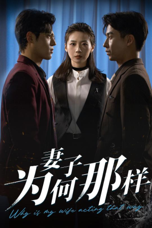 妻子为何那样（60集）女主角是谁