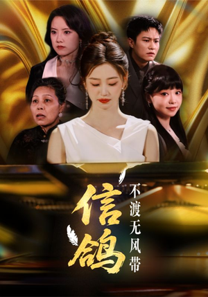 信鸽不渡无风带（65集）红果短剧免费看