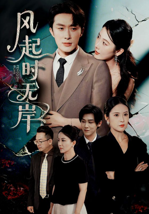 风起时无岸（58集）女频短剧推荐