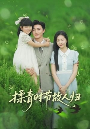 揉青时节故人归（60集）流畅播放免费看
