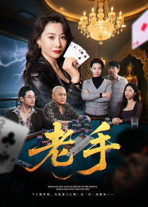 老手（36集）好看吗