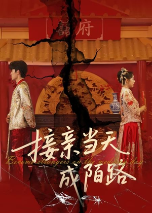 接亲当天成陌路（50集）短剧热门推荐