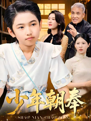 少年朝奉（66集）80到100集