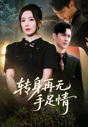 转身再无手足情（71集）精彩短剧天天看