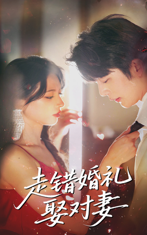 走错婚礼娶对妻（60集观看软件