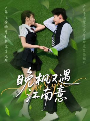 晚枫又遇江南意（60集）短剧解说热门