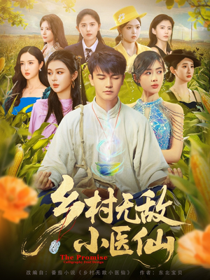 乡村无敌小医仙（87集）在线观看完整版
