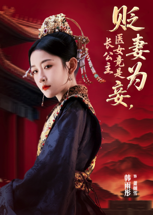 贬妻为妾医女竟是长公主（80集）在线看