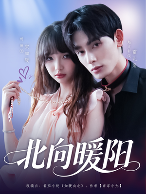 北向暖阳（80集）演员表