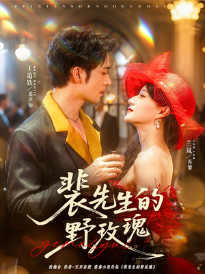 裴先生的野玫瑰（72集）好看短剧看不停