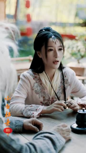 小白招亲（78集）精彩热门短剧