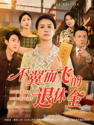不翼而飞的退休金（63集）口碑之选免费看