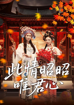 此情昭昭唯君心（82集）热播短剧重燃