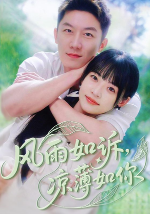 风雨如诉凉薄如你（70集）免费观看就是爽