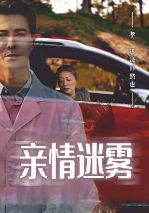 亲情迷雾（30集）短剧看全集