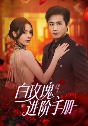 白玫瑰进阶手册（64集）全集一网打尽