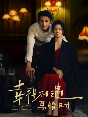 幸得相遇离婚时（81集）短剧视频分享