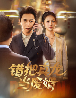 错把真龙当废婿（60集）免费短剧完整版