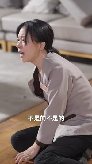 一纸风来认旧痕 (33集) 免费看全集