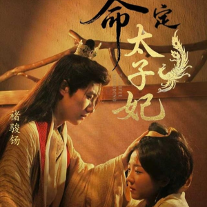 命定太子妃（63集）看到大结局