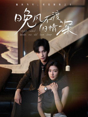 晚风不渡旧情深（70集）在线观看完整版