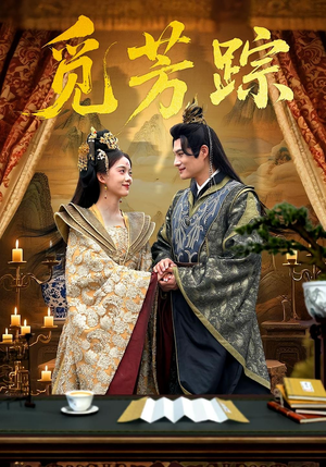 觅芳踪（91集）无需会员免费看