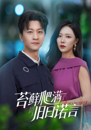 情途难负（83集）在线看完整版