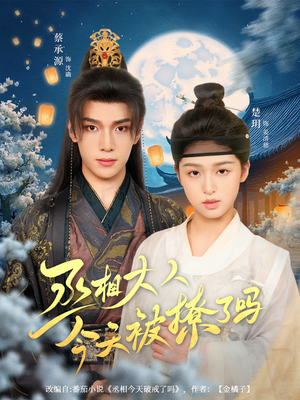 丞相大人今天被撩了吗（80集）在线观看