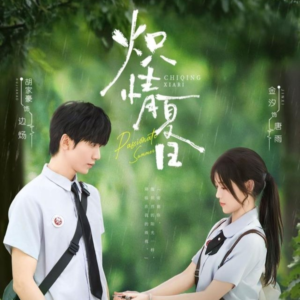 炽情夏日（80集）全集一次看完