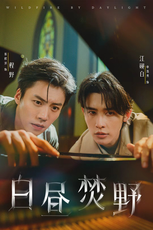 白昼焚野（70集）一口气追完全集