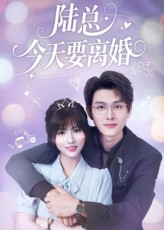 陆总今天要离婚（81集）最热短剧抢先看