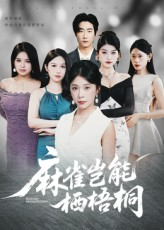 麻雀岂能栖梧桐(31集) 麻雀岂能栖梧桐(31集)看到大结局