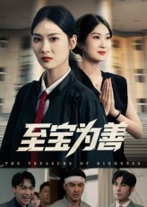 至宝为善（60集）大结局