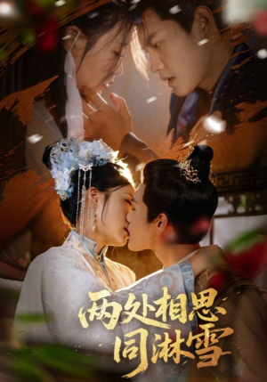 两处相思同淋雪（60集）在线看免费版