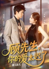 顾先生你的爱太迟了(60集) 顾先生你的爱太迟了(60集)360网盘观看
