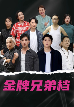 龙虎兄弟粤语版（60集）全集我都看完了