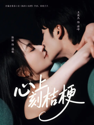 心上刻桔梗（90集）真的太好看了